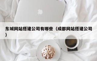 射阳东城网站搭建公司有哪些（成都网站搭建公司）
